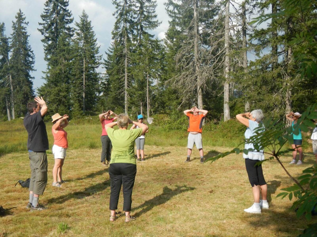 randonnée bien être Thônes coeur des vallées