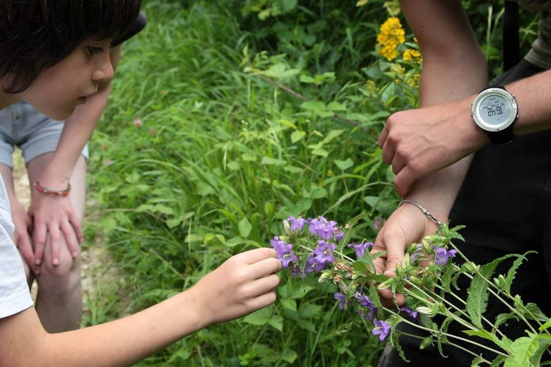 Découvrez la nature