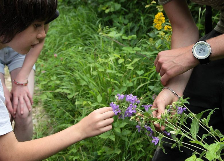 Découvrez la nature