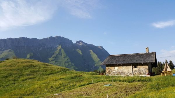 Circuit découverte en van