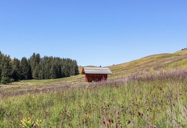 Le Plateau de Beauregard, un site Natura 2000