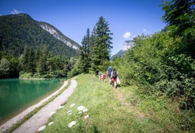 Découvrez les trésors botaniques du Lac de Thuy cet été !