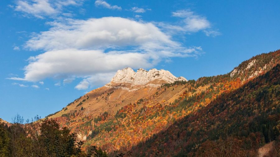L’automne s’installe : venez vous ressourcer à Thônes Cœur des Vallées !