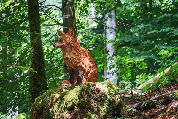 La Forêt-École de Thônes : une immersion grandeur nature !