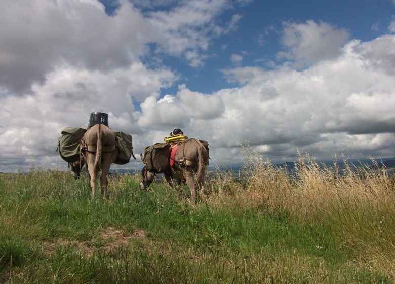 Randonnée-bivouac accompagné des ânes de bât dans le Val Sulens, au sud du massif des Aravis