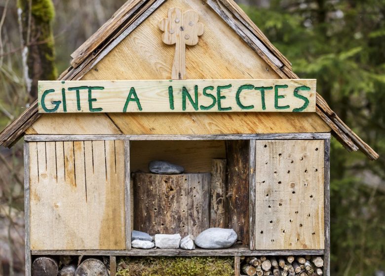 Ecomusée du Bois et de la Forêt de Montremont