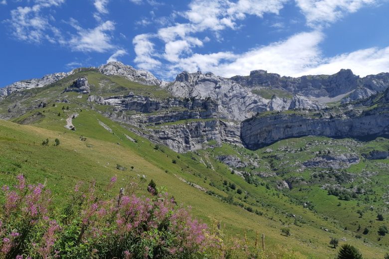 Tournette