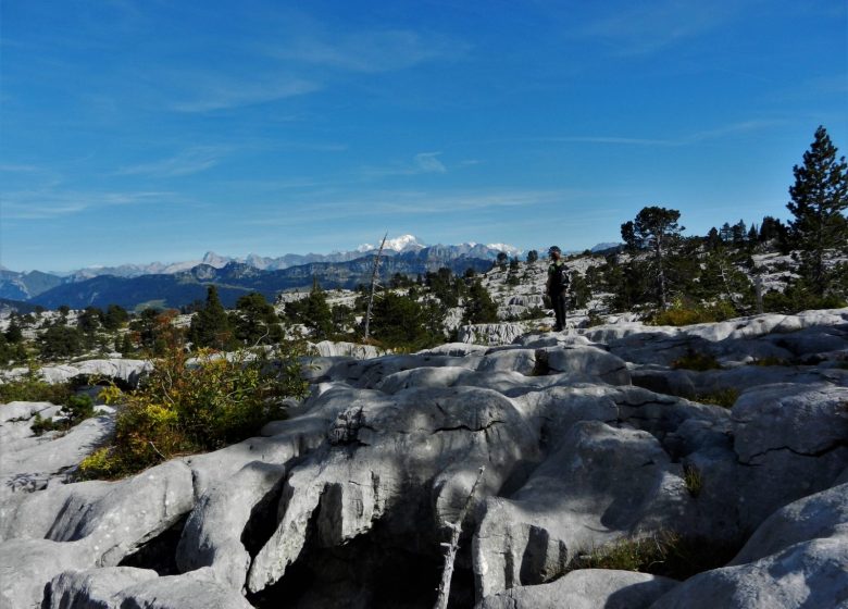 Refuge du Parmelan