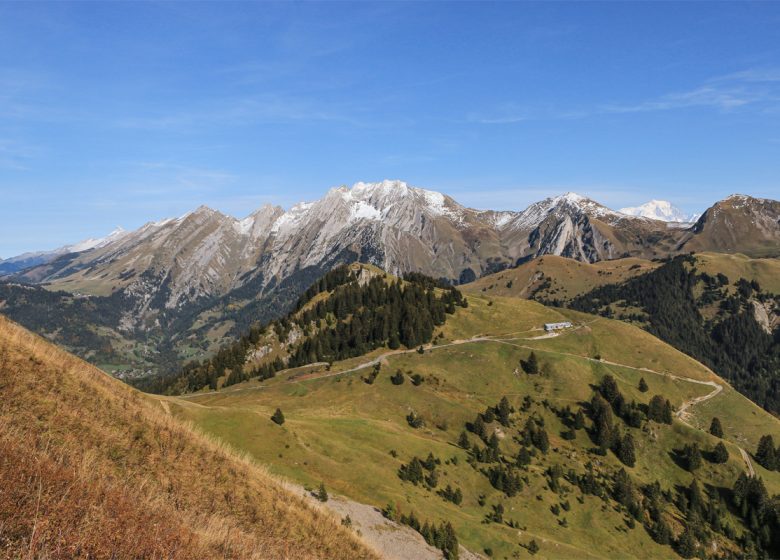 Le Sulens