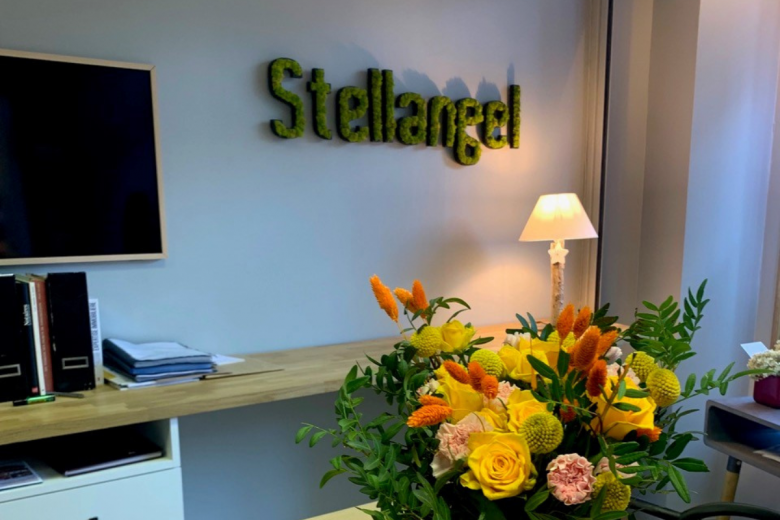 Stellangel Aravis