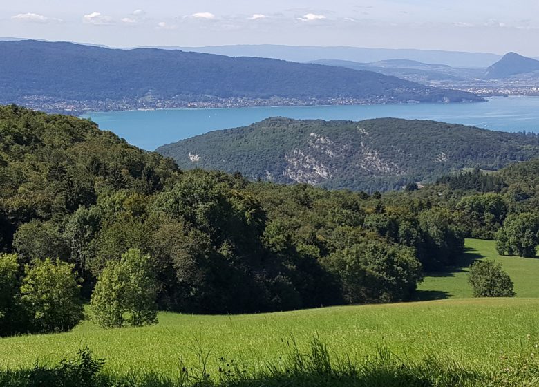 Lac Annecy