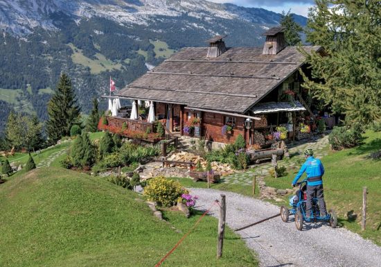 Location Cimgo, fauteuil tout terrain de descente