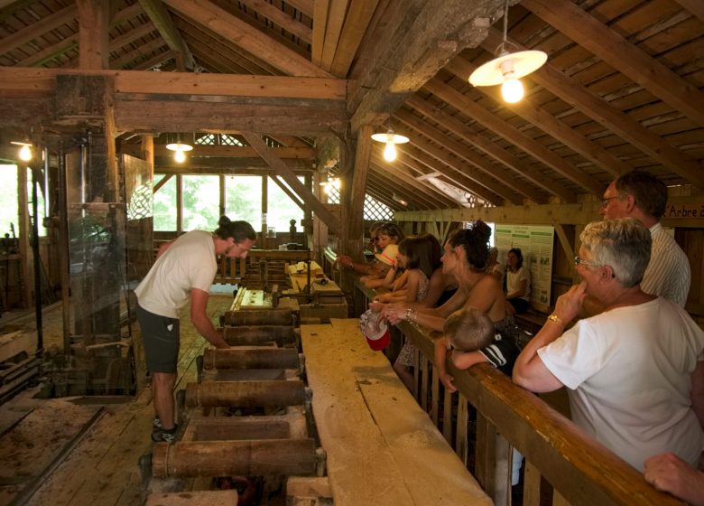 Ecomusée du Bois et de la Forêt de Montremont