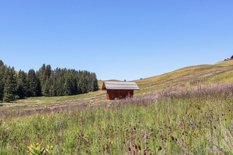 Plateau de Beauregard