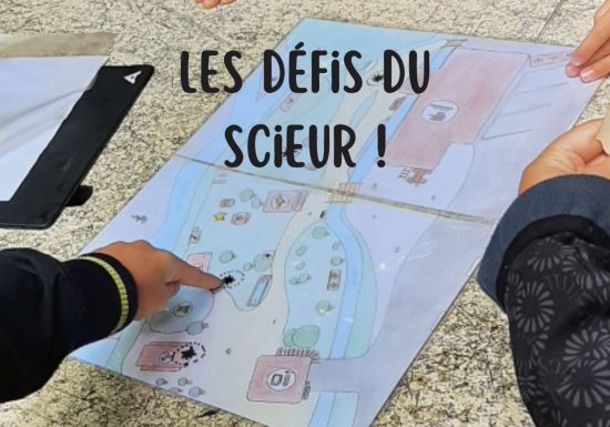 Animation en famille : les défis du scieur !