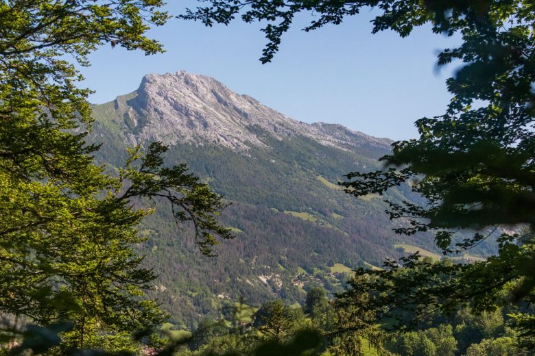 Le Roi du Mont