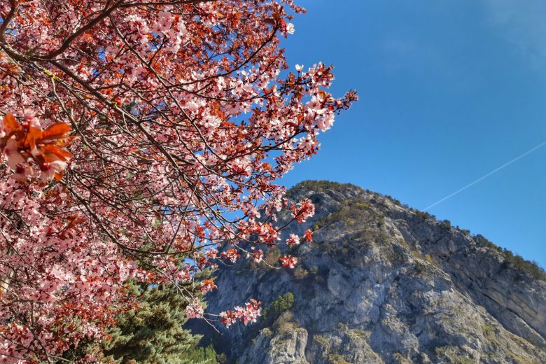 La Roche à l’Agathe