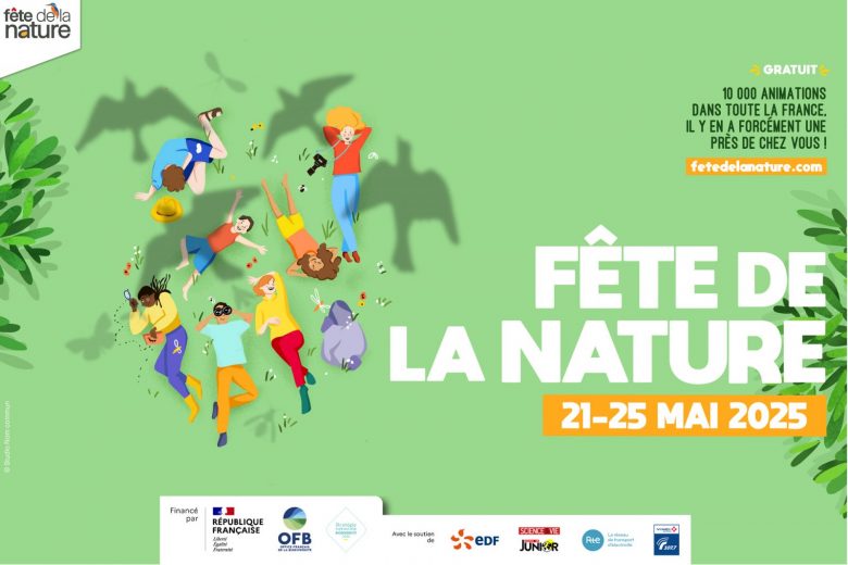 Fête de la nature : atelier « Chouette, déballons une pelote »_Thônes