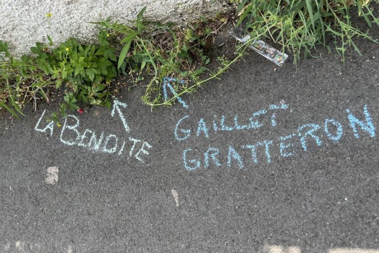 Fête de la nature : atelier « Sauvages de ma rue »_Thônes