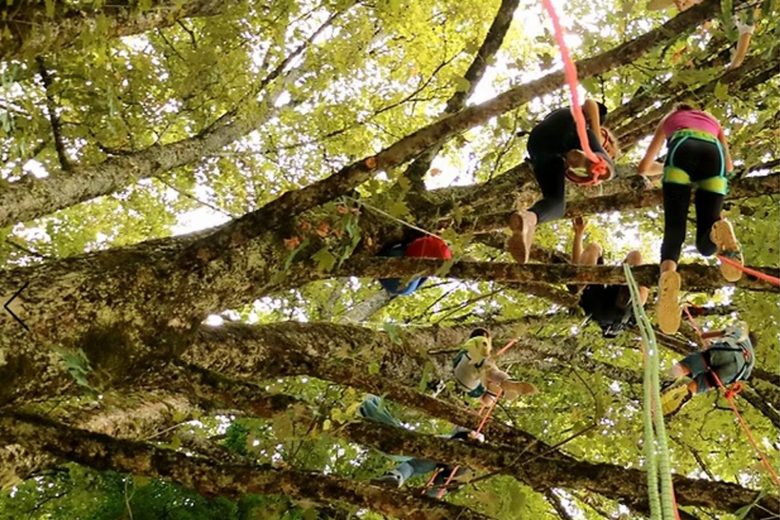Fête de la nature : Grimpe dans les arbres_Thônes
