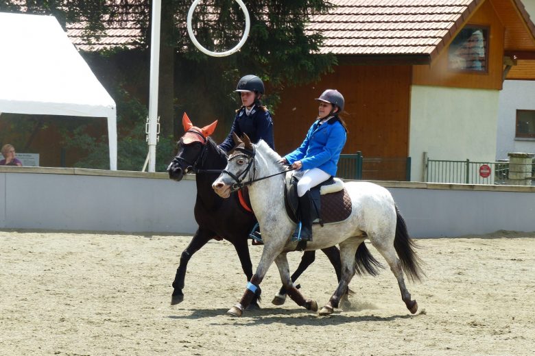Centre équestre de Thônes