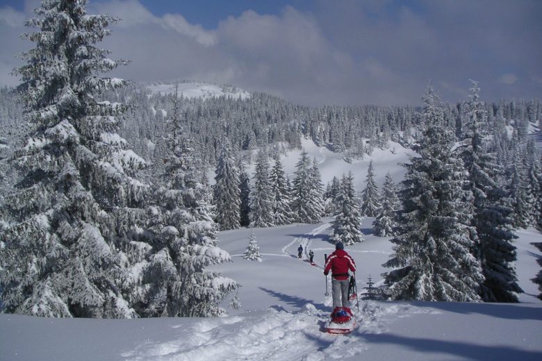 randonnée raquettes