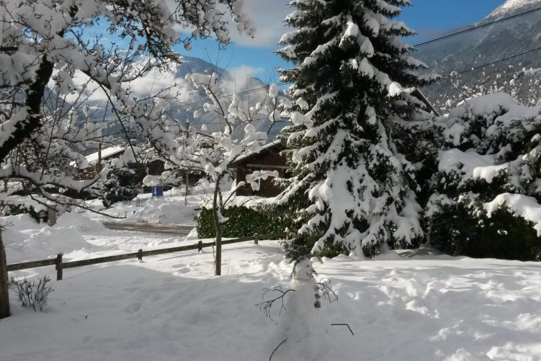 Chalet le Bois du Roc