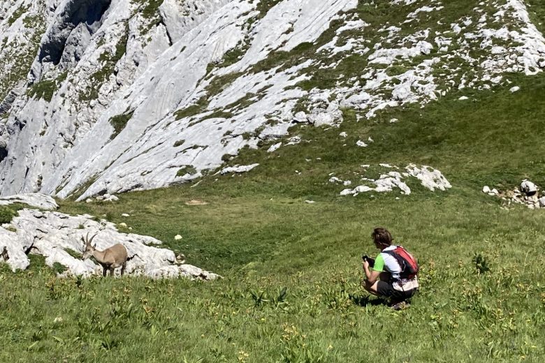 Bouquetin Tournette .JPG