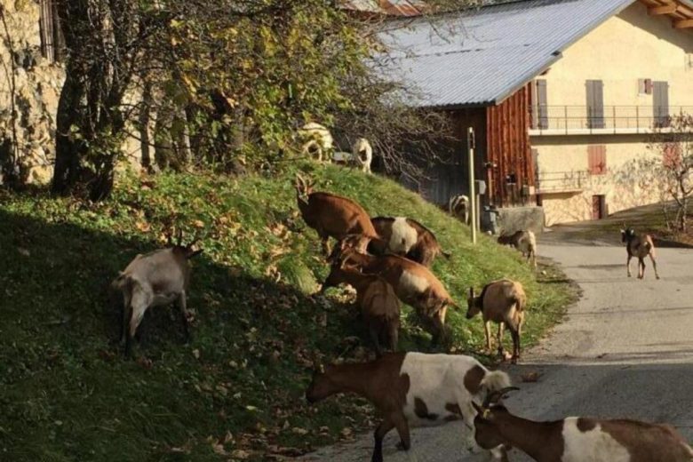 Gîte des Pommiers_Le Bouchet-Mont-Charvin