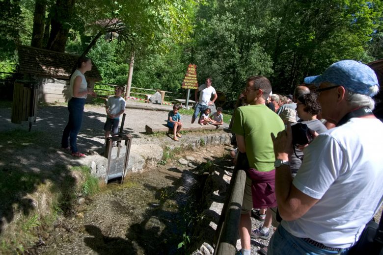 Ecomusée du Bois et de la Forêt de Montremont
