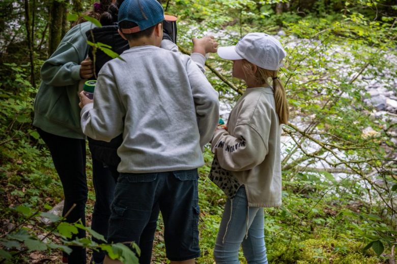 Ecomusée du Bois et de la Forêt