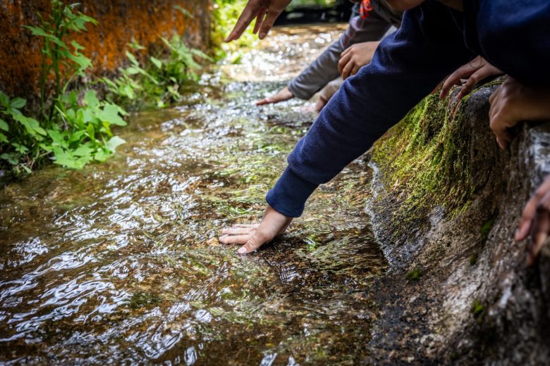 Ecomusée du Bois et de la Forêt