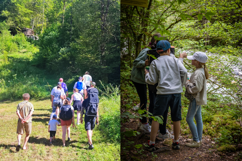 Animation découverte de la forêt_Thônes
