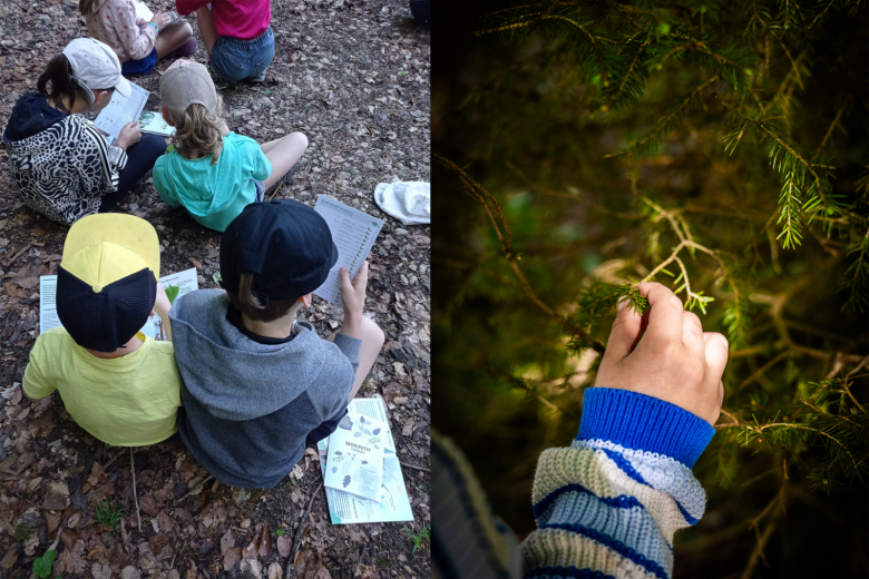 Atelier Nature en Famille « La Forêt au Printemps » – Semaine Famille +_Thônes