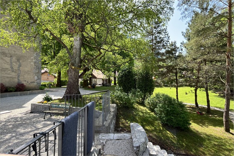 Domenica : yoga et soins énergétiques_Alex