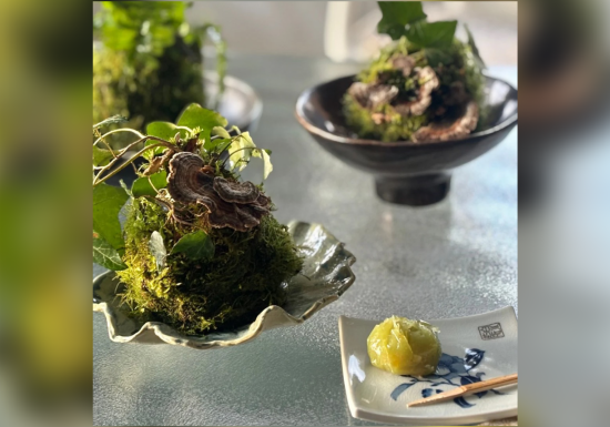 Atelier Kokedama japonais