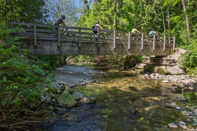 La Plaine du Fier rive Droite – itinéraire VTT Cross-Country n°35RD_La Balme-de-Thuy