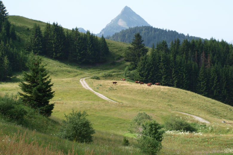 Sortie découverte de la biodiversité_Le Bouchet-Mont-Charvin