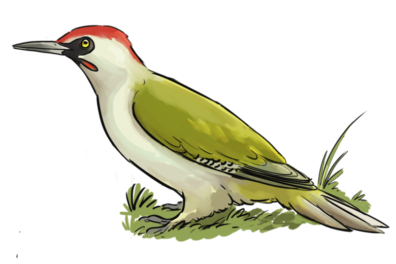 Fête de la nature : atelier « cache-cache dans mon verger »_Serraval