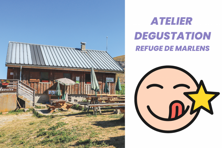 Dégustation au refuge de l&rsquo;Aulp de Marlens_Le Bouchet-Mont-Charvin