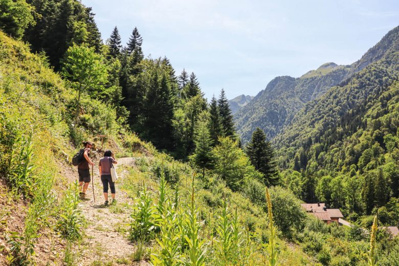 Balade forestière_Thônes