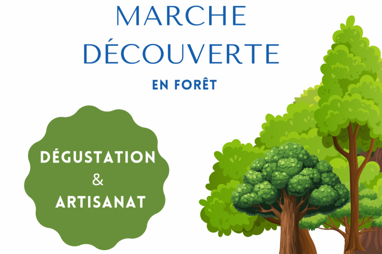 Marche découverte_Thônes