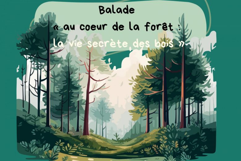 Balade « au coeur de la forêt : la vie secrète des bois »_La Balme-de-Thuy
