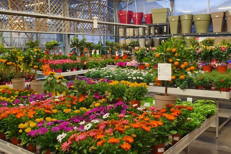 MARCHE AUX FLEURS