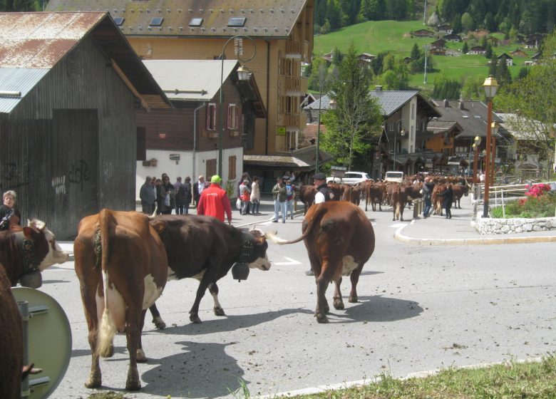 Les montées à l’alpage