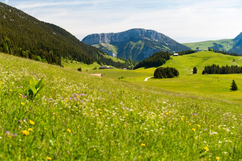 Glières