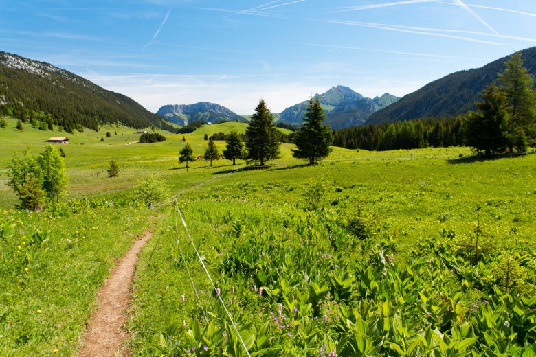 Glières