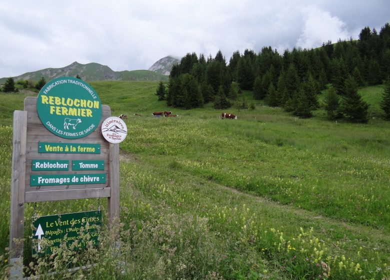 Auberge de l’Aulp de Marlens