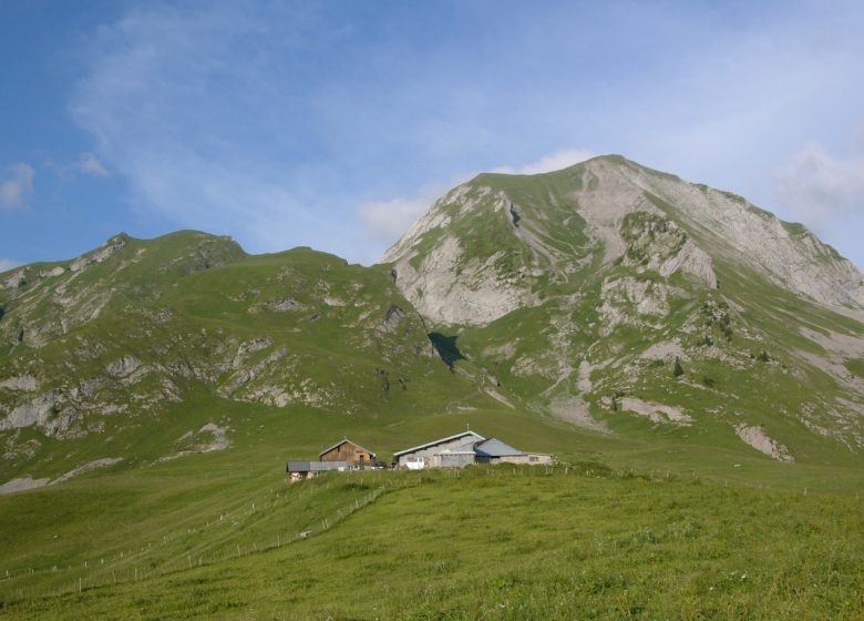 Auberge de l’Aulp de Marlens