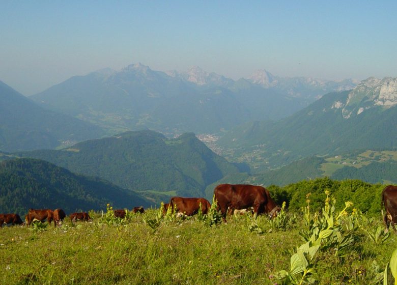 Alpage de Sulens